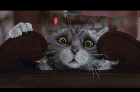 MMGB: Sainsbury's launches 'charming' Christmas TV ad starring Mog the cat