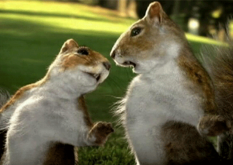Nestle Kit Kat TVC uses singing squirrels for new spin on proposition