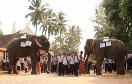 Elephants, boatmen and kalari warriors deliver TOI newspapers in Kerala