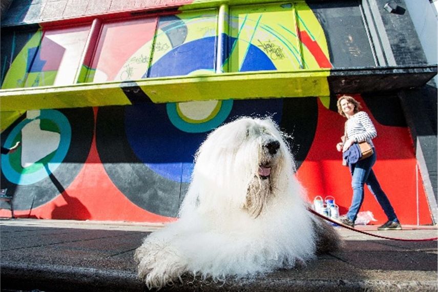 Dulux owner AkzoNobel appoints MediaCom to global account