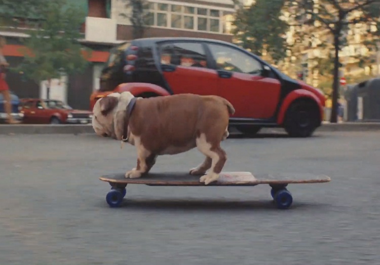 Churchie has a glow-up as Churchill unveils rebrand