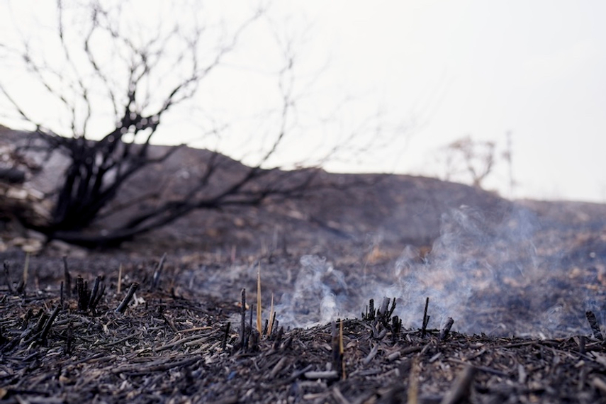 Businesses are no longer trusted on climate change: Edelman report