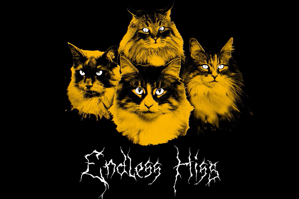 Watch these cat videos right meow