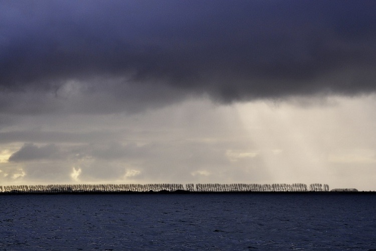 Blog: Aggressive action and existential risks - The Forrester 2018 Predictions