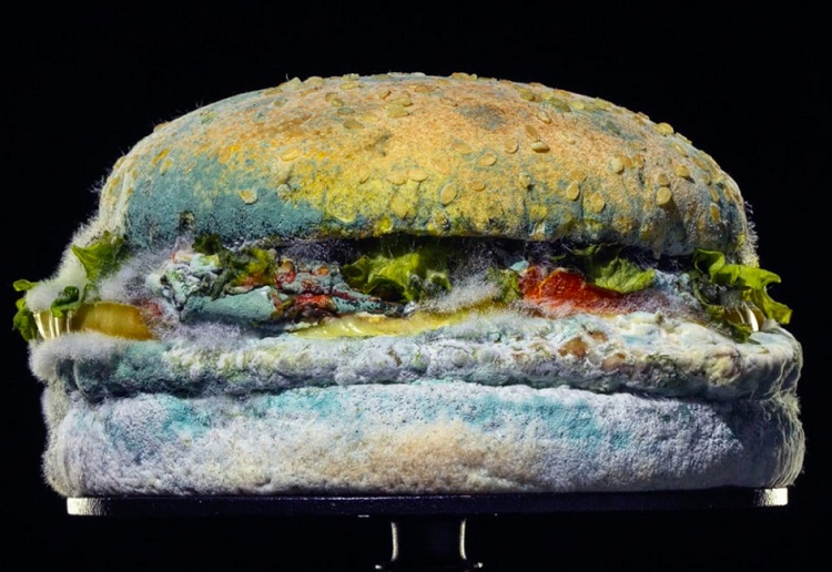 Blog: Burger King’s mouldy burger - gimmick or genius?