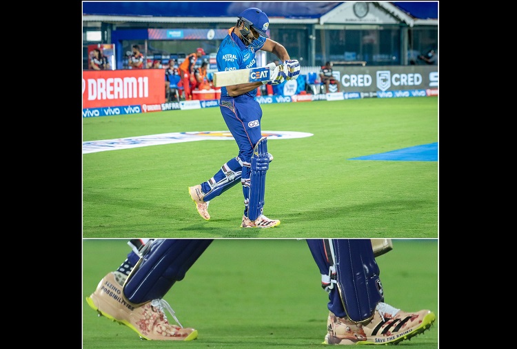 Blog: ‘Rohit4Rhinos’ - does celebrity support for animals really work?