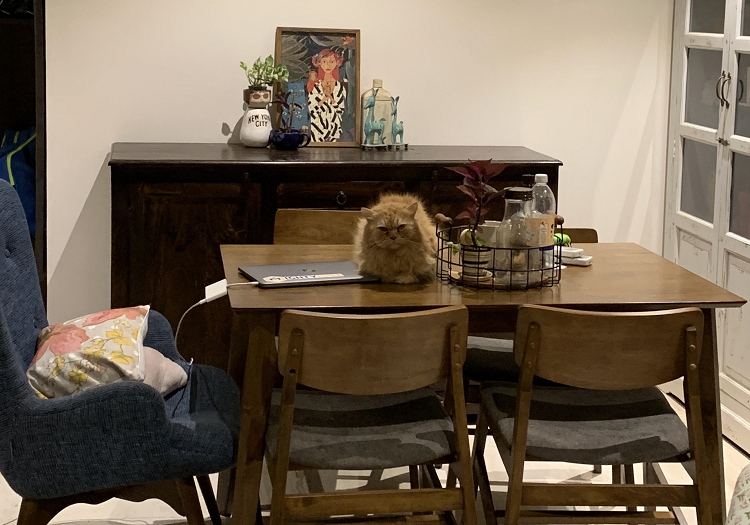 Work from home diary: 'It will change our understanding of WFH and professionalism forever'